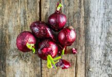 5 Benefits Of Sprouted onions: अंकुरित प्याज के जबरदस्त फायदे,हड्डियां होंगी मजबूत Benefits-of-sprouted-onions