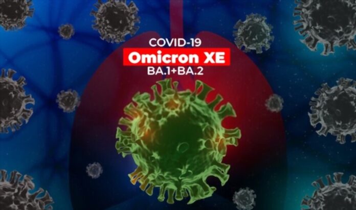 omicron xe varient